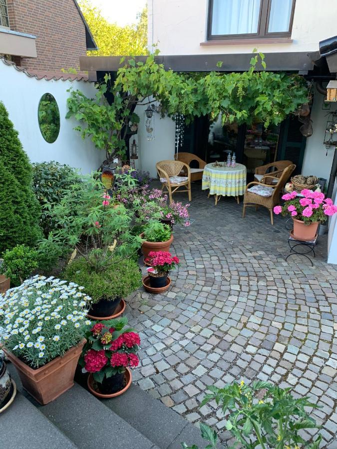 Pension Loew Solingen Buitenkant foto